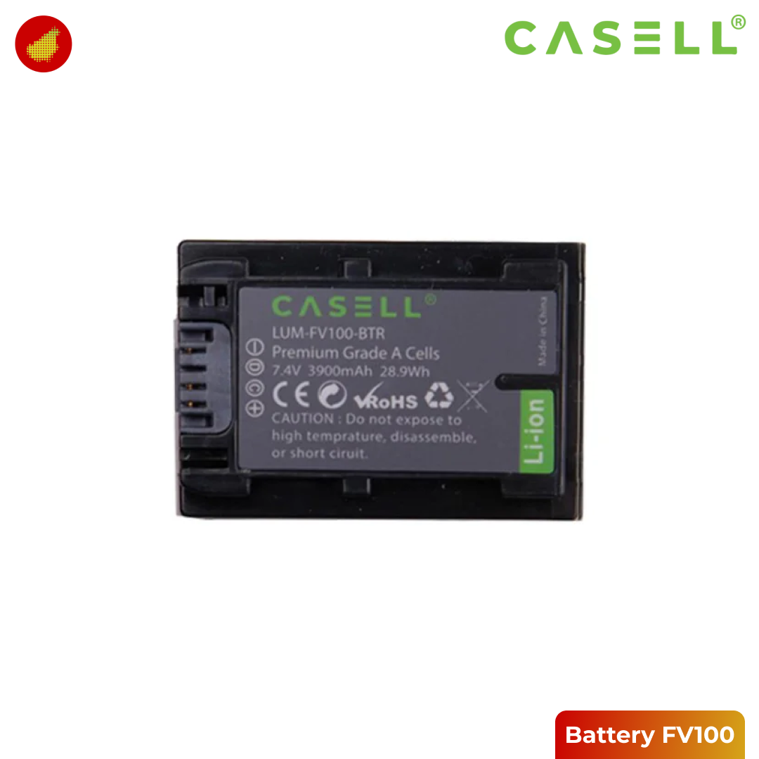 Casell Battery FV100