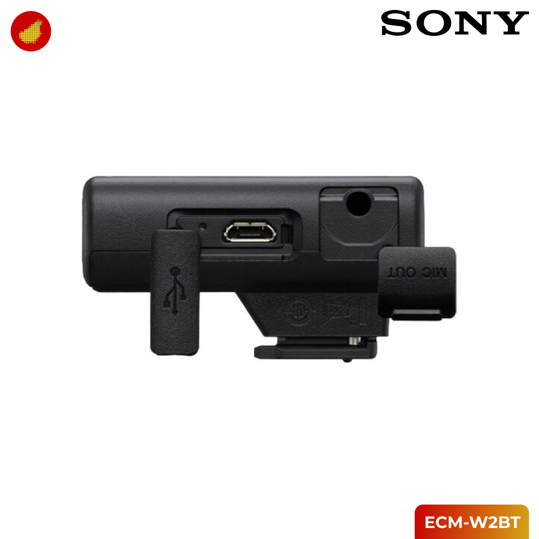 Sony ECM-W2BT