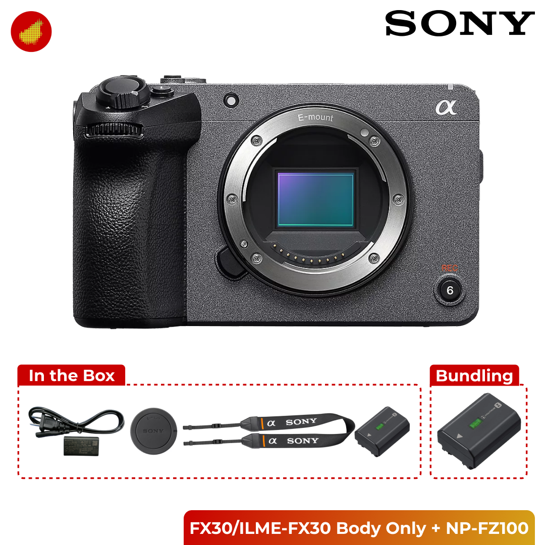 Sony FX30