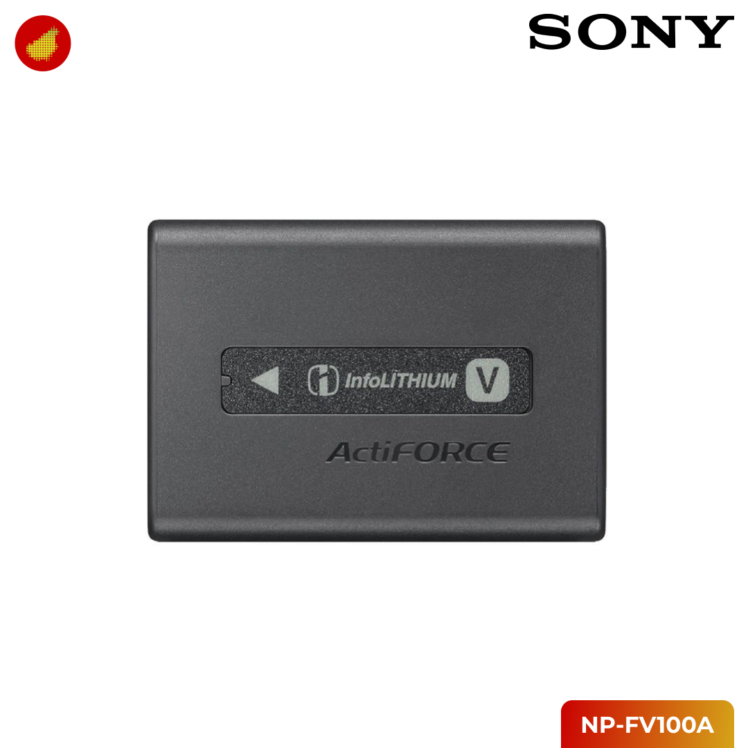 Sony NP-FV100A